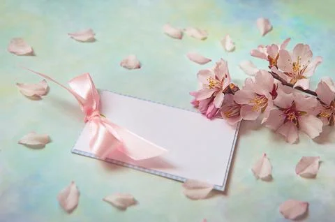 Background with fresh spring flowers and empty tag for your text on turquoise Stock Photos