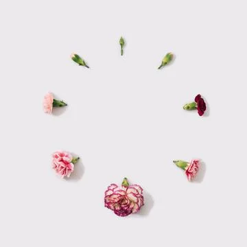 A background of fresh spring flowers in a circle. Stock-Fotos