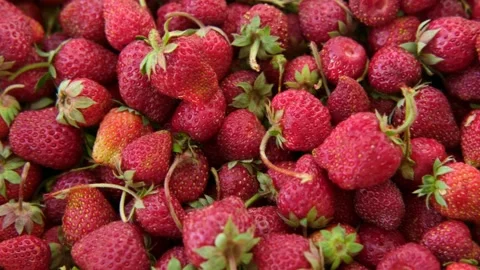 Background fresh strawberries close up Stock Footage 310041251