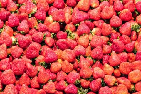 Background from fresh strawberries Stock Photos