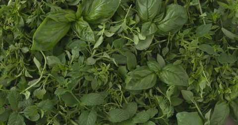 Background of freshly harvested herbs. Flat lay. Table spin. Stock Footage 278033905