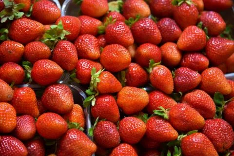 Background from freshly harvested red strawberries Stock Photos