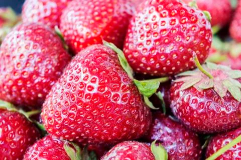 Background from freshly harvested strawberries Stock Photos