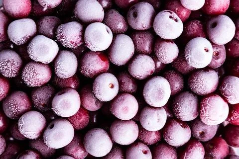 Background with frozen cherry. Berry pattern. Fruit design. Stock Photos