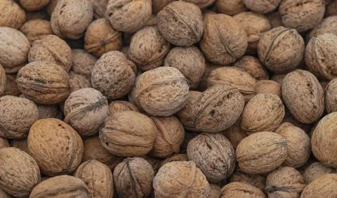 A background full of nuts Stock Photos