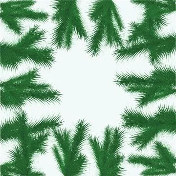 Background from fur branches Stock Illustration