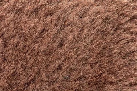 Background of fur. macro Stock Photos