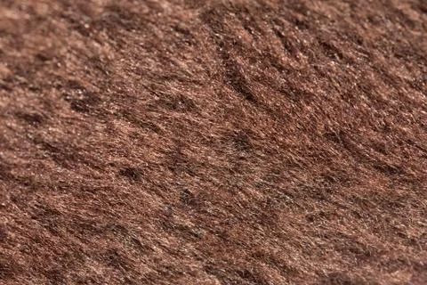 Background of fur. macro Stock Photos