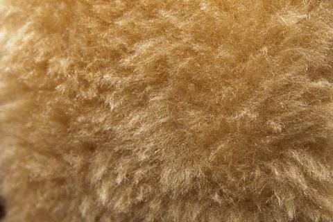 Background of fur. macro Stock Photos