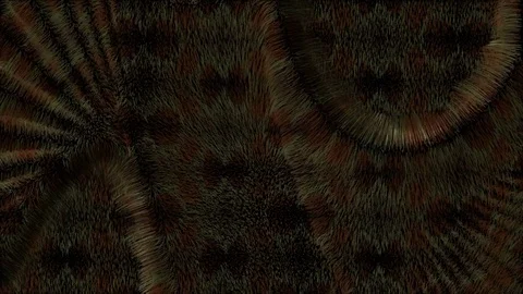 Background Fur Product Stock Footage 84326670