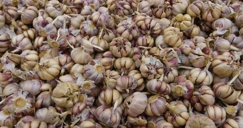 Background with garlics Video stock 54260129