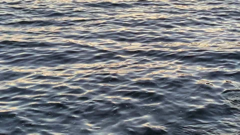 Background of gentle relaxation motion waves Stock-Footage 162774795