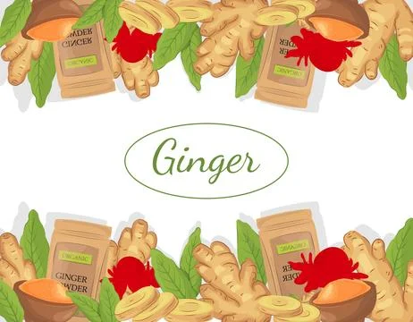 Background with ginger root set, flower, ginger powder ina pack and in a bo.. Stock Illustration