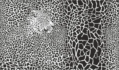 Background with giraffe and leopard イラスト素材