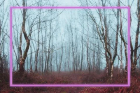 Background. A glowing pink neon rectangle framed over a forest. Stock Illustration