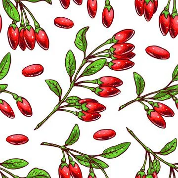 Background with goji berries Stock Illustration