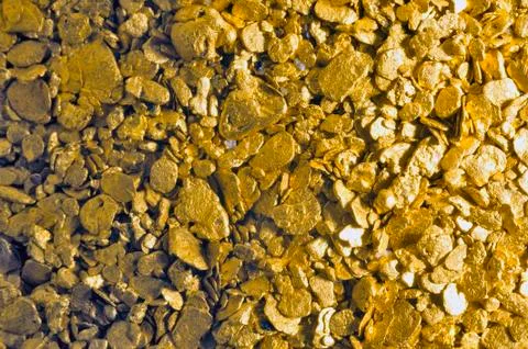 Background gold glitter Stock Photos