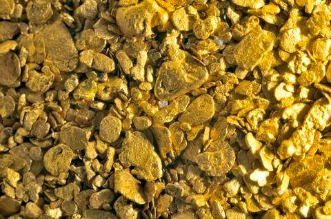 Background gold glitter Stock Photos