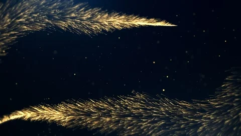 Background with golden particles, gold background for awards Stock Footage 242714207