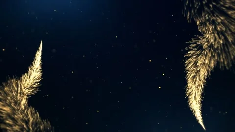 Background with golden particles, golden background for awards, festive gold Stock Footage 242714310