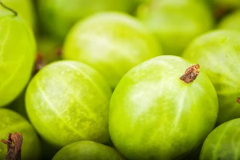Background of goosberry Foto stock
