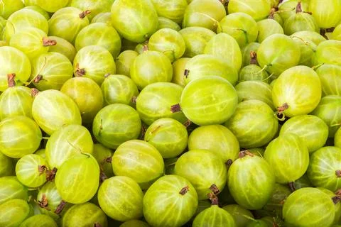 Background of gooseberry Stock Photos