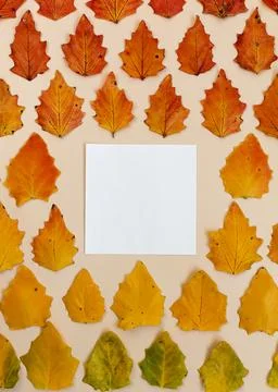 Background gradient of autumn leaves Stock Photos