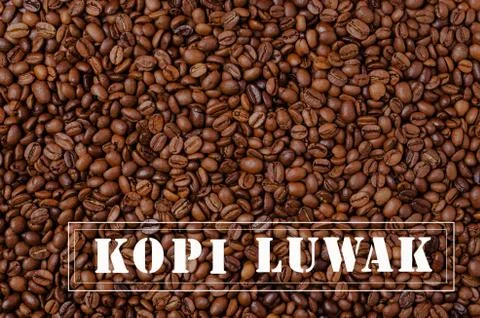 Background of grains of dark coffee Foto stock