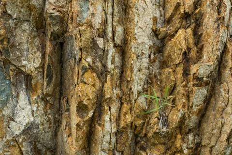 Background of granite. Texture of granite stone. Stock Photos