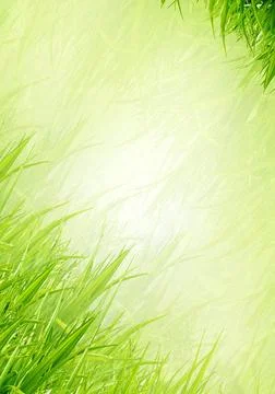 Background from a grass Background from a grass Copyright: xZoonar.com/gan... Stock Photos
