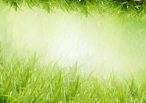 Background from a grass Background from a grass Copyright: xZoonar.com/gan... Stock Photos