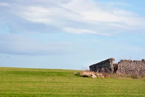 Background grass field Stock Photos