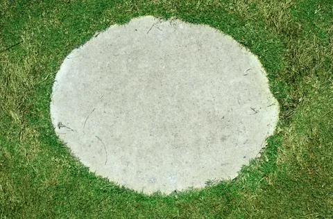 Background, grass through slab on the pavement. Stock Photos