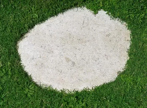 Background, grass through slabs on the pavement. Foto stock