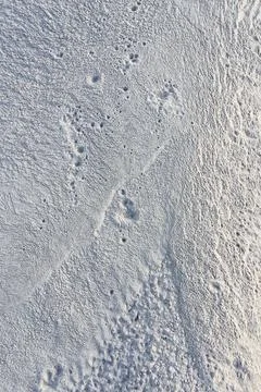 Background from gray cement texture Stock Photos