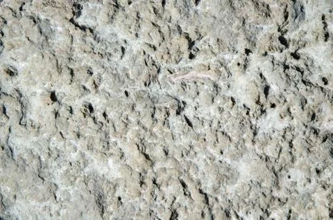 Background of gray limestone surface Stock Photos