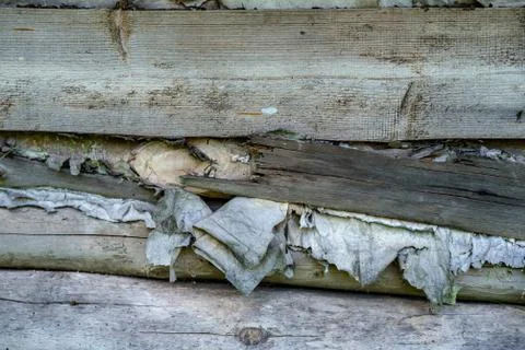 Background of gray logs and boards. Stock Photos