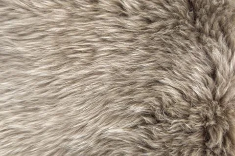 Background gray long artificial fur light natural sheep wool grey white sea.. Stock Photos