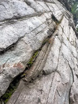 Background of gray rock layers, geological stone wall formed over time Stock-Fotos