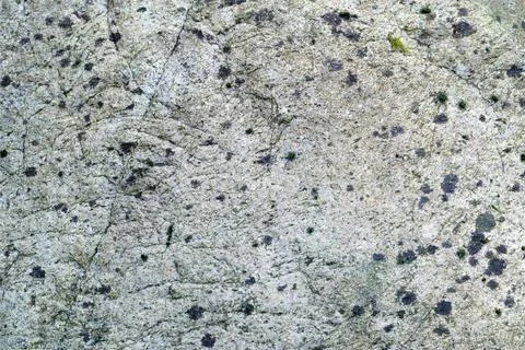 Background, gray rock surface texture, patches of moss and lichen Backgro... Stock Photos