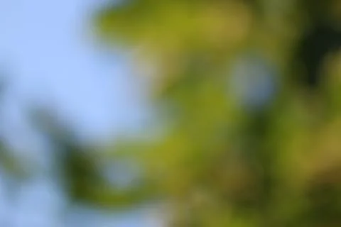 Background green abstract Stock-Fotos