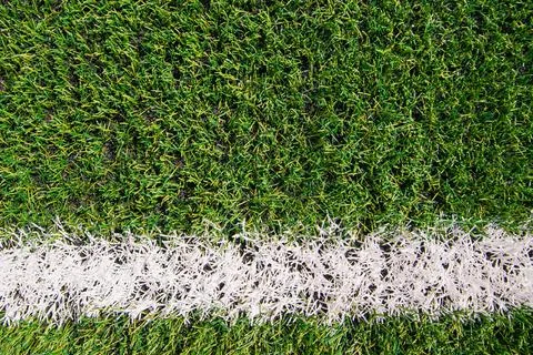 Background of green artificial grass. Marked white lines on the sports field. Stock Photos