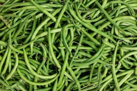 Background from green bean string. Close up. Foto stock