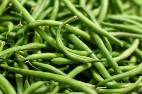 Background from green bean string. Close up. Foto stock