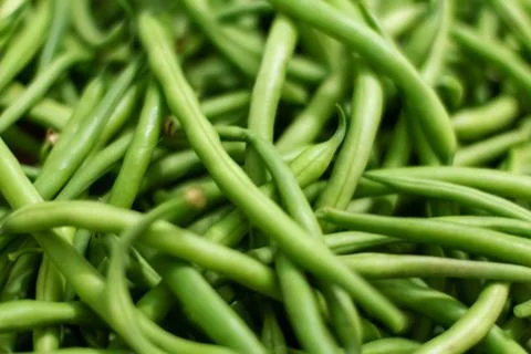 Background from green bean string. Close up. Photos