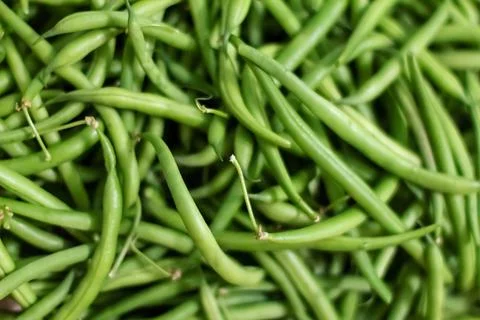 Background from green bean string. Close up. Foto stock