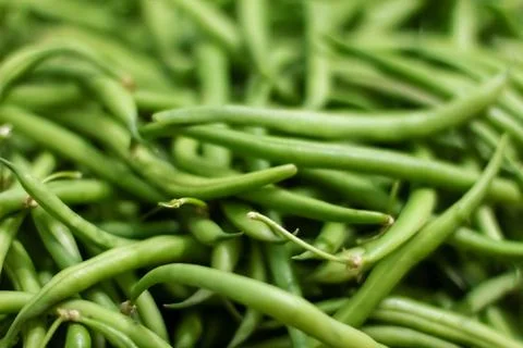 Background from green bean string. Close up. Stock Photos