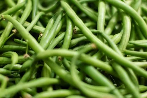 Background from green bean string. Close up. Foto stock
