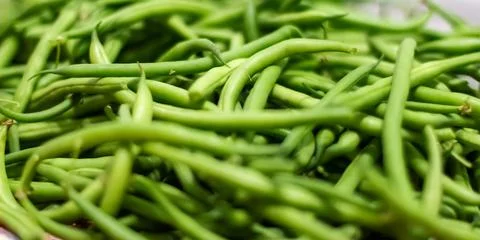 Background from green bean string. Close up. Photos