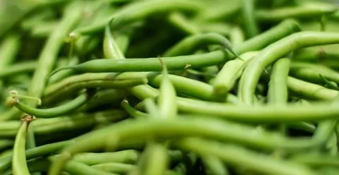 Background from green bean string. Close up. Stock Photos